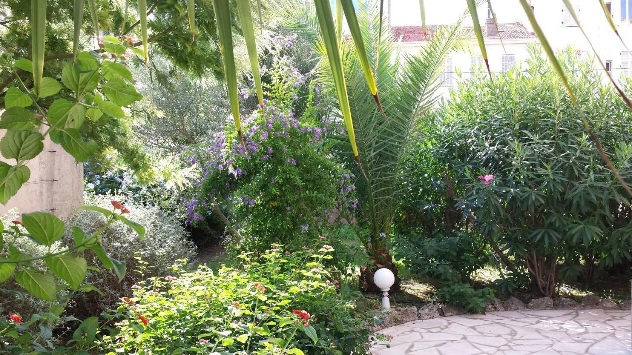 Central Avec Jardin Cannes Esterno foto